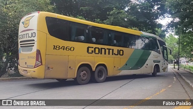 Empresa Gontijo de Transportes 18460 na cidade de São Paulo, São Paulo, Brasil, por Fábio Paixão. Número da foto: #13219872.
