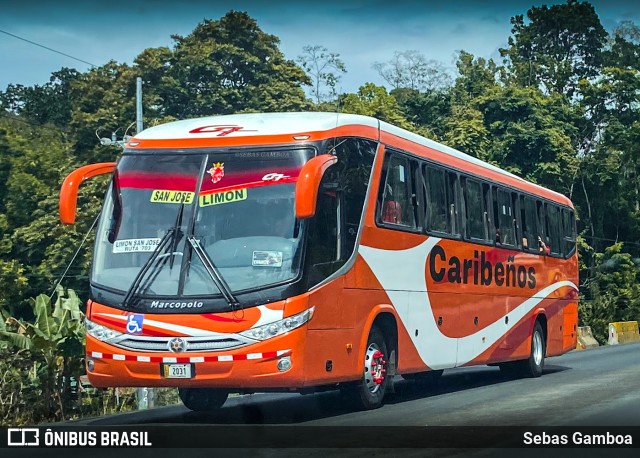Caribeños 00 na cidade de Pacuarito, Siquirres, Limón, Costa Rica, por Sebas Gamboa. Número da foto: #13218969.