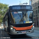 TRANSPPASS - Transporte de Passageiros 8 0127 na cidade de São Paulo, São Paulo, Brasil, por Michel Nowacki. Número da foto: #13221005.