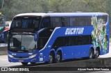 Eucatur - Empresa União Cascavel de Transportes e Turismo 6042 na cidade de Araquari, Santa Catarina, Brasil, por Alyson Frank Ehlert Ferreira. Número da foto: #13220461.