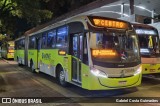 BH Leste Transportes > Nova Vista Transportes > TopBus Transportes 20596 na cidade de Belo Horizonte, Minas Gerais, Brasil, por Gabriel Costa Guimarães. Número da foto: #13220592.