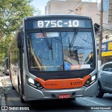 TRANSPPASS - Transporte de Passageiros 8 0355 na cidade de São Paulo, São Paulo, Brasil, por Michel Nowacki. Número da foto: #:id.