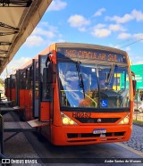 Auto Viação Redentor HD252 na cidade de Curitiba, Paraná, Brasil, por Andre Santos de Moraes. Número da foto: #13219081.