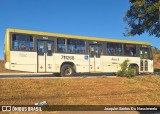 BsBus Mobilidade 711268 na cidade de Brazlândia, Distrito Federal, Brasil, por Joaquim Santos Do Nascimento. Número da foto: #13219043.