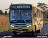 Transporte Rural T-247 na cidade de José Bonifácio, São Paulo, Brasil, por Sérgio de Sousa Elias. Número da foto: #13220663.