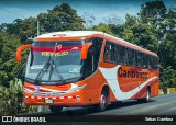 Caribeños 00 na cidade de Pacuarito, Siquirres, Limón, Costa Rica, por Sebas Gamboa. Número da foto: #13218969.