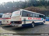 Viação Oliveira 245 na cidade de Campinas, São Paulo, Brasil, por André Leandro. Número da foto: #13220812.