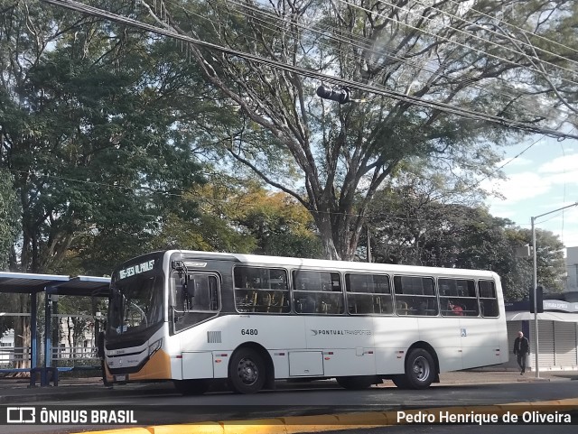 Pontual Sul Transporte e Turismo 6480 na cidade de Botucatu, São Paulo, Brasil, por Pedro Henrique de Oliveira. Número da foto: #13221719.