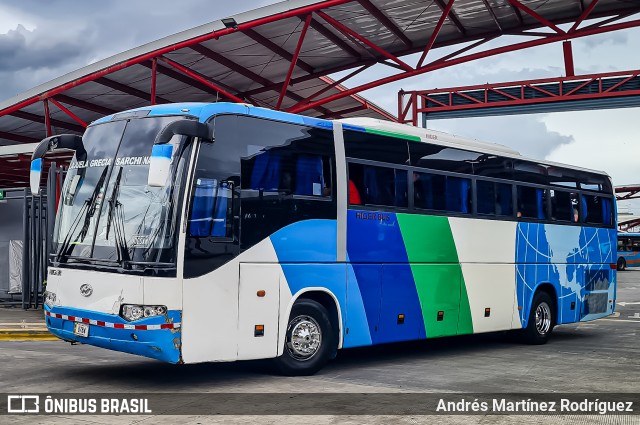 TUAN RL 01 na cidade de Alajuela, Alajuela, Costa Rica, por Andrés Martínez Rodríguez. Número da foto: #13223074.