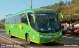 Pássaro Verde 16912 na cidade de Leopoldina, Minas Gerais, Brasil, por Rômulo Almeida. Número da foto: #:id.