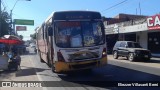 Lince 69 na cidade de San Lorenzo, Central, Paraguai, por Eliezzer Villasanti Berni. Número da foto: #13223568.