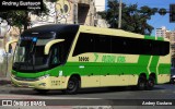 Pássaro Verde 16900 na cidade de Belo Horizonte, Minas Gerais, Brasil, por Andrey Gustavo. Número da foto: #13221965.