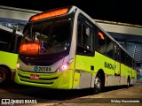 BH Leste Transportes > Nova Vista Transportes > TopBus Transportes 20586 na cidade de Belo Horizonte, Minas Gerais, Brasil, por Wirley Nascimento. Número da foto: #:id.