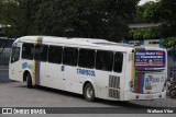 Transcol - Transportes Coletivos Ltda. 555 na cidade de Recife, Pernambuco, Brasil, por Wallace Vitor. Número da foto: #13222260.