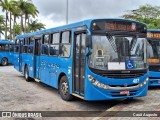 Biguaçu Transportes Coletivos Administração e Participação 487 na cidade de Florianópolis, Santa Catarina, Brasil, por Cauã Augusto. Número da foto: #13223653.