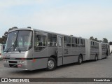 Auto Viação Nossa Sra. do Carmo ED001 na cidade de Curitiba, Paraná, Brasil, por Ricardo Matu. Número da foto: #13226404.