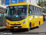 Transporte Suplementar de Belo Horizonte 1199 na cidade de Belo Horizonte, Minas Gerais, Brasil, por Renato Brito. Número da foto: #13225413.
