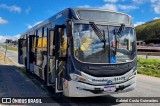 BH Leste Transportes > Nova Vista Transportes > TopBus Transportes 21172 na cidade de Belo Horizonte, Minas Gerais, Brasil, por Gabriel Costa Guimarães. Número da foto: #13225676.