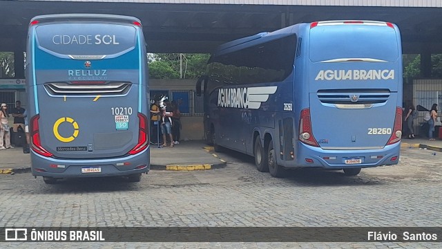 Viação Cidade Sol 10210 na cidade de Cruz das Almas, Bahia, Brasil, por Flávio  Santos. Número da foto: #13227666.