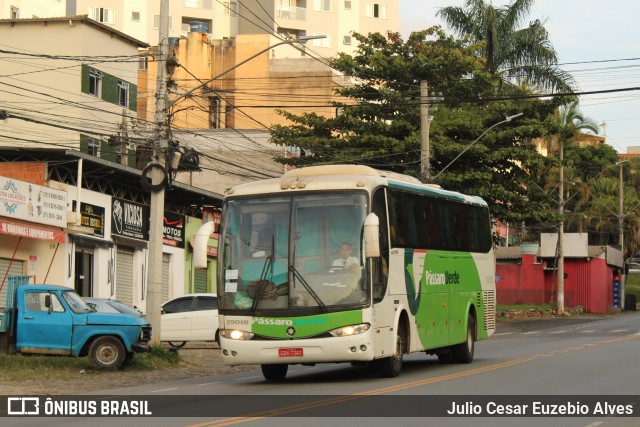 Pássaro Verde 29018 na cidade de Viçosa, Minas Gerais, Brasil, por Julio Cesar Euzebio Alves. Número da foto: #13226762.