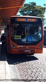 VCG - Viação Campos Gerais 1479 na cidade de Ponta Grossa, Paraná, Brasil, por BrunyBus Prado. Número da foto: #13228137.