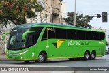 Pássaro Verde 16913 na cidade de Belo Horizonte, Minas Gerais, Brasil, por Luciano Formiga. Número da foto: #13227402.