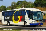 Gatti 304 na cidade de Jacareí, São Paulo, Brasil, por Renan  Bomfim Deodato. Número da foto: #13228403.
