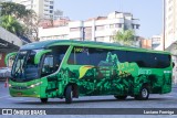 Pássaro Verde 15132 na cidade de Belo Horizonte, Minas Gerais, Brasil, por Luciano Formiga. Número da foto: #13227439.