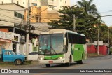 Pássaro Verde 29018 na cidade de Viçosa, Minas Gerais, Brasil, por Julio Cesar Euzebio Alves. Número da foto: #13226762.