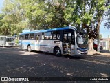 TransLocave 7228 na cidade de Birigui, São Paulo, Brasil, por André Nordeste. Número da foto: #13228555.