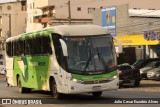 Pássaro Verde 11097 na cidade de Viçosa, Minas Gerais, Brasil, por Julio Cesar Euzebio Alves. Número da foto: #13226755.