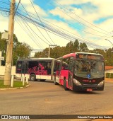 Viação Rosa Vitória da Conquista 1710AR na cidade de Vitória da Conquista, Bahia, Brasil, por Eduardo Paraguai dos Santos. Número da foto: #13228073.