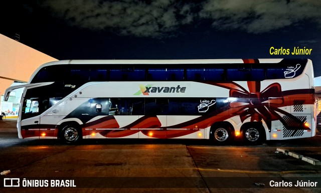 Viação Xavante 8900 na cidade de Goiânia, Goiás, Brasil, por Carlos Júnior. Número da foto: #13230443.