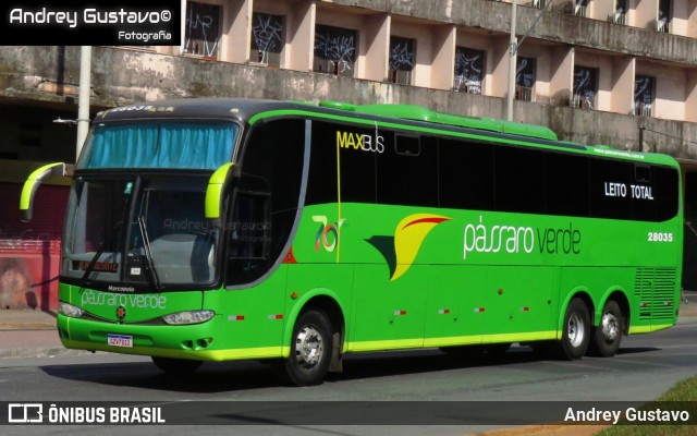 Pássaro Verde 28035 na cidade de Belo Horizonte, Minas Gerais, Brasil, por Andrey Gustavo. Número da foto: #13231305.