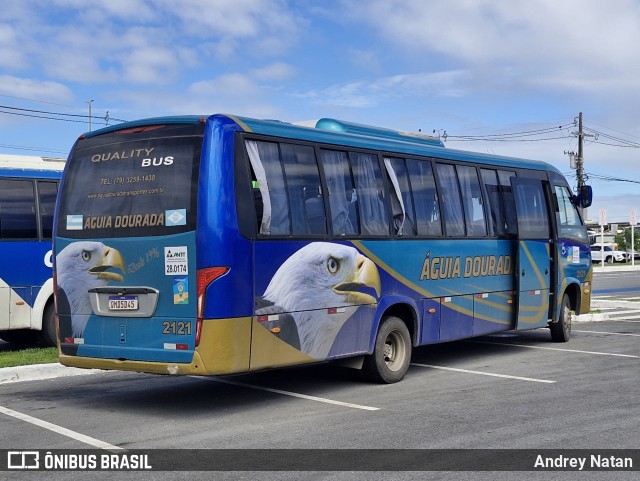 Águia Dourada 2121 na cidade de Aracaju, Sergipe, Brasil, por Andrey Natan. Número da foto: #13231320.