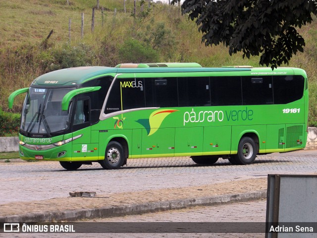 Pássaro Verde 19161 na cidade de João Monlevade, Minas Gerais, Brasil, por Adrian Sena. Número da foto: #13229549.