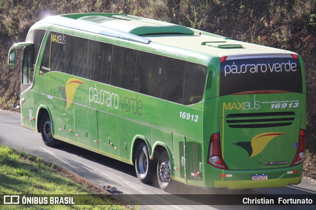 Pássaro Verde 16913 na cidade de Coimbra, Minas Gerais, Brasil, por Christian  Fortunato. Número da foto: #13229131.