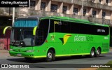Pássaro Verde 28035 na cidade de Belo Horizonte, Minas Gerais, Brasil, por Andrey Gustavo. Número da foto: #13231305.
