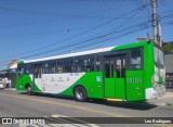 VB Transportes e Turismo 3102 na cidade de Campinas, São Paulo, Brasil, por Leo Rodrigues. Número da foto: #:id.