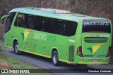 Pássaro Verde 15128 na cidade de Coimbra, Minas Gerais, Brasil, por Christian  Fortunato. Número da foto: #13229127.