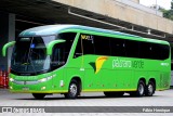 Pássaro Verde 16913 na cidade de Belo Horizonte, Minas Gerais, Brasil, por Fábio Henrique. Número da foto: #:id.