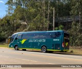 Pássaro Verde 18914 na cidade de Santa Bárbara, Minas Gerais, Brasil, por Fabrício Rodrigo Telles. Número da foto: #13231016.