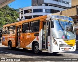 Cidade das Hortênsias 3014 na cidade de Petrópolis, Rio de Janeiro, Brasil, por Gustavo Fidelis. Número da foto: #13228962.