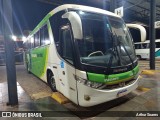 Pássaro Verde 11097 na cidade de Itabirito, Minas Gerais, Brasil, por Arthur Soares. Número da foto: #13229464.
