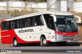 Rouxinol 2165 na cidade de Betim, Minas Gerais, Brasil, por Henrique Simões. Número da foto: #13230743.