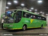 Pássaro Verde 29013 na cidade de Belo Horizonte, Minas Gerais, Brasil, por Douglas Andrez. Número da foto: #13229478.