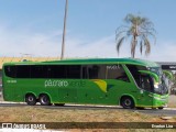 Pássaro Verde 11102 na cidade de Candangolândia, Distrito Federal, Brasil, por Everton Lira. Número da foto: #13229689.