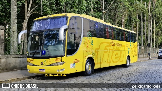 Fiel 1850 na cidade de Petrópolis, Rio de Janeiro, Brasil, por Zé Ricardo Reis. Número da foto: #13185059.