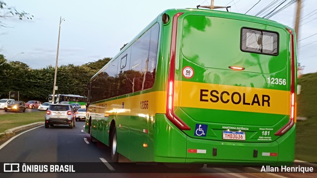 Transportes Capellini 12356 na cidade de Paulínia, São Paulo, Brasil, por Allan Henrique. Número da foto: #13185135.