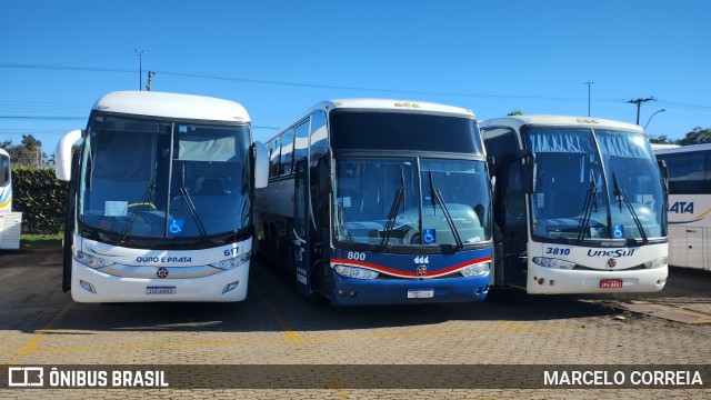 TTL Transporte Turismo 800 na cidade de Porto Alegre, Rio Grande do Sul, Brasil, por MARCELO CORREIA. Número da foto: #13185009.